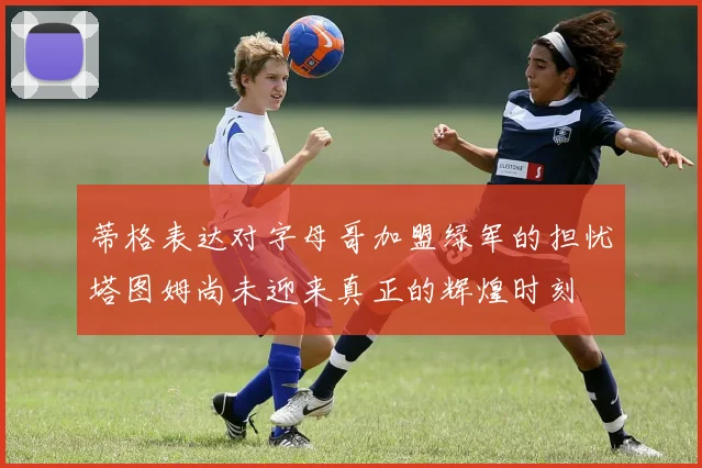 蒂格表达对字母哥加盟绿军的担忧塔图姆尚未迎来真正的辉煌时刻